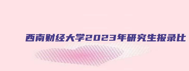 西南财经大学2023年研究生报录比