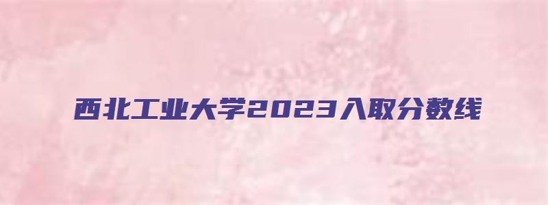 西北工业大学2023入取分数线