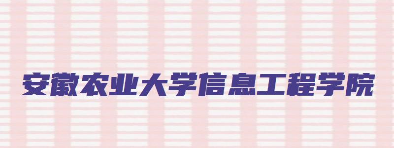 安徽农业大学信息工程学院