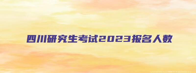 四川研究生考试2023报名人数