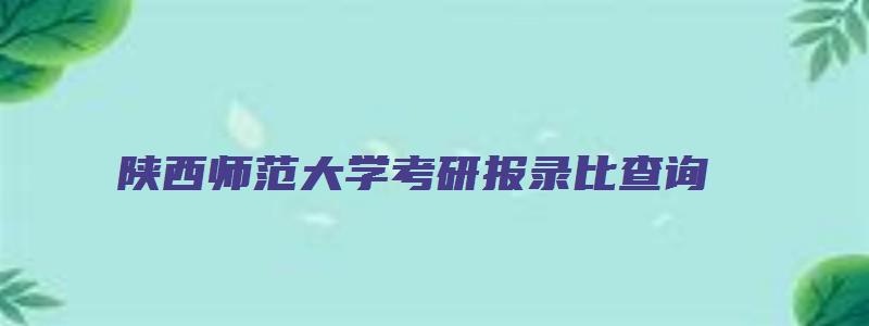 陕西师范大学考研报录比查询