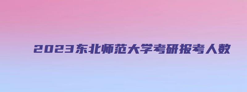 2023东北师范大学考研报考人数