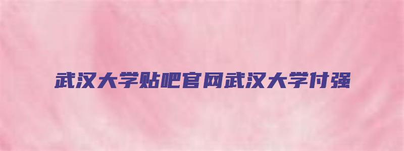 武汉大学贴吧官网武汉大学付强