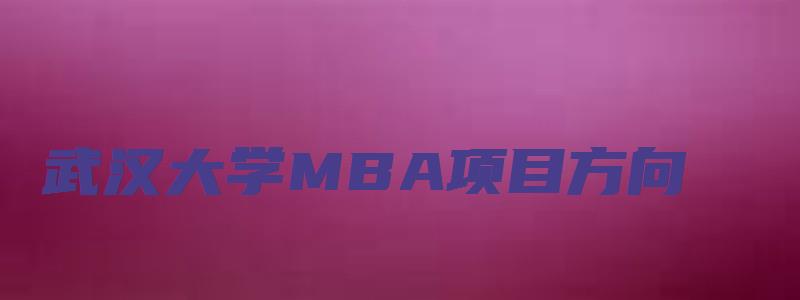 武汉大学MBA项目方向