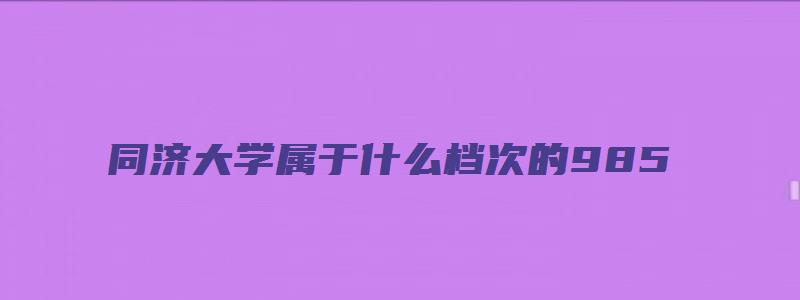 同济大学属于什么档次的985