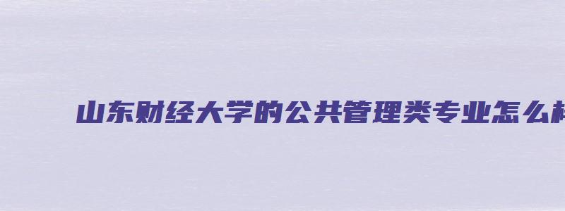 山东财经大学的公共管理类专业怎么样