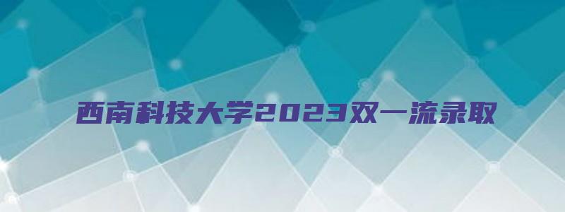 西南科技大学2023双一流录取