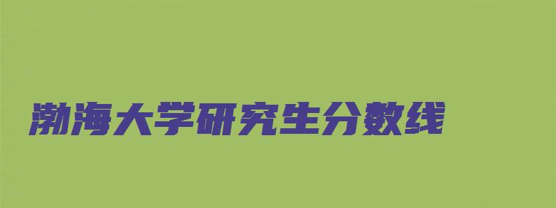 渤海大学研究生分数线