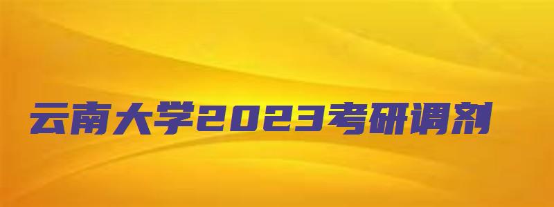 云南大学2023考研调剂