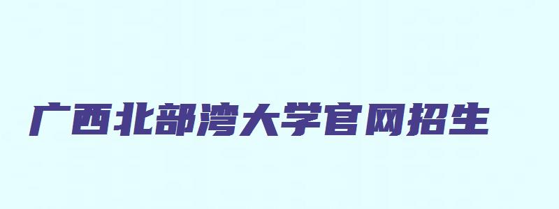 广西北部湾大学官网招生