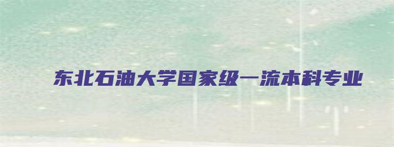 东北石油大学国家级一流本科专业