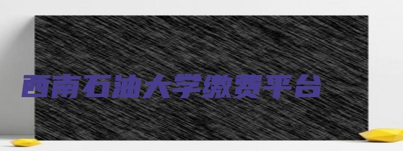 西南石油大学缴费平台