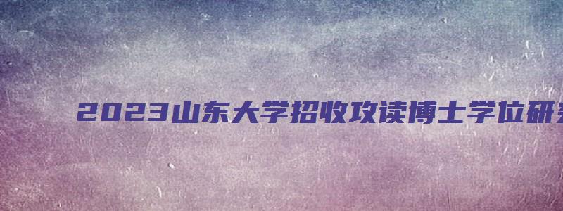 2023山东大学招收攻读博士学位研究生报名通知