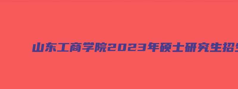 山东工商学院2023年硕士研究生招生专业目录公布