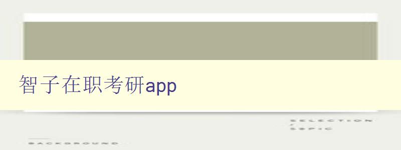 智子在职考研app