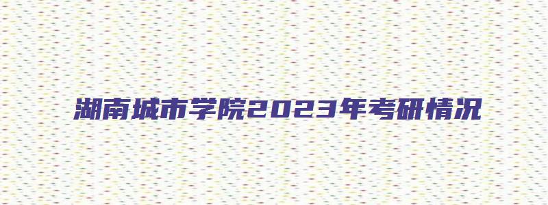 湖南城市学院2023年考研情况