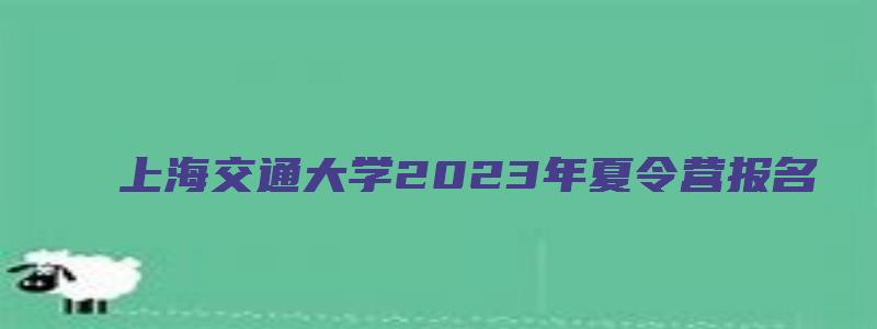 上海交通大学2023年夏令营报名