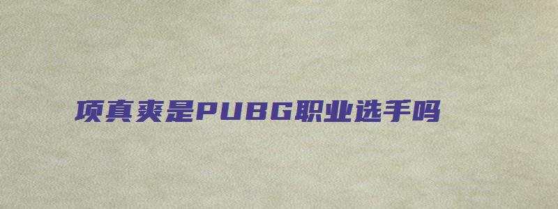 项真爽是PUBG职业选手吗