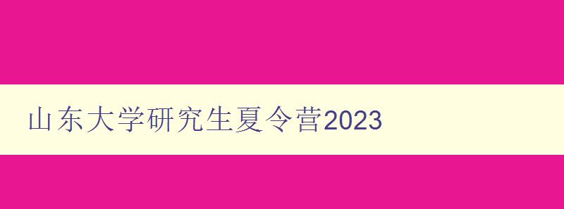 山东大学研究生夏令营2023