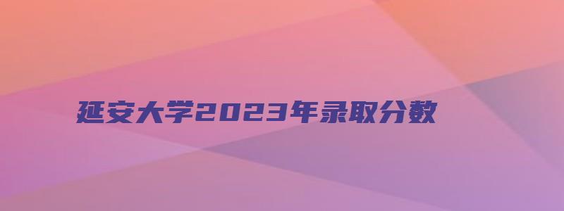 延安大学2023年录取分数