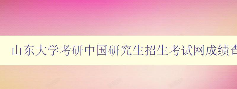 山东大学考研中国研究生招生考试网成绩查询官网