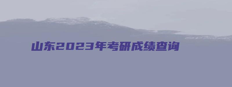 山东2023年考研成绩查询