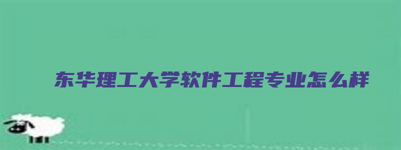 东华理工大学软件工程专业怎么样