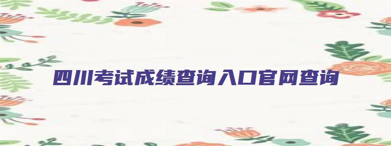 四川考试成绩查询入口官网查询