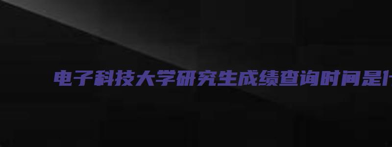 电子科技大学研究生成绩查询时间是什么时候