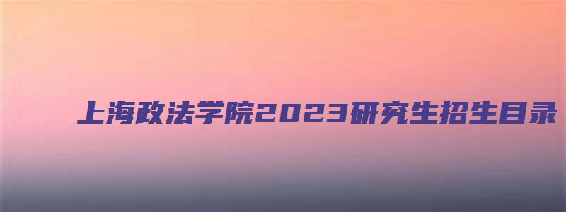 上海政法学院2023研究生招生目录