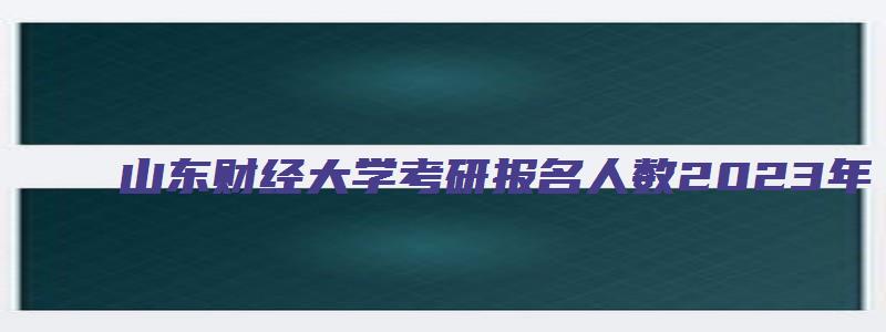 山东财经大学考研报名人数2023年