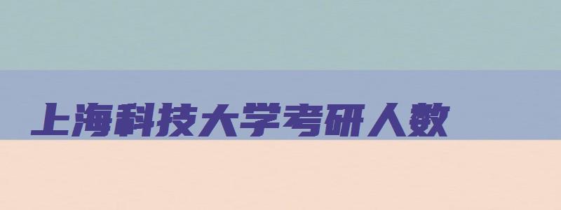 上海科技大学考研人数