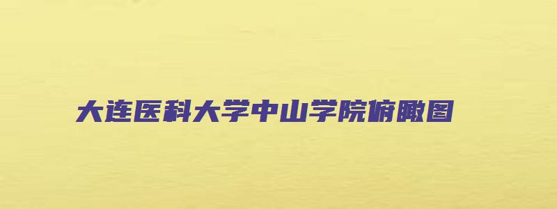 大连医科大学中山学院俯瞰图