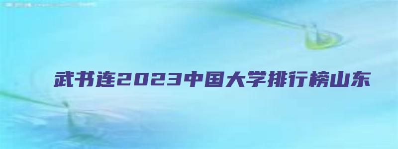 武书连2023中国大学排行榜山东