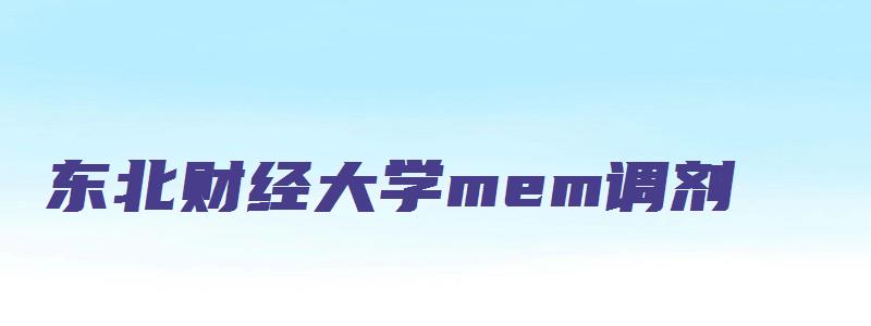 东北财经大学mem调剂