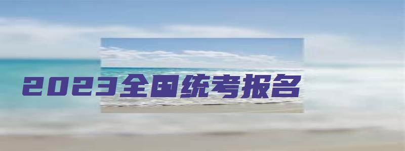 2023全国统考报名