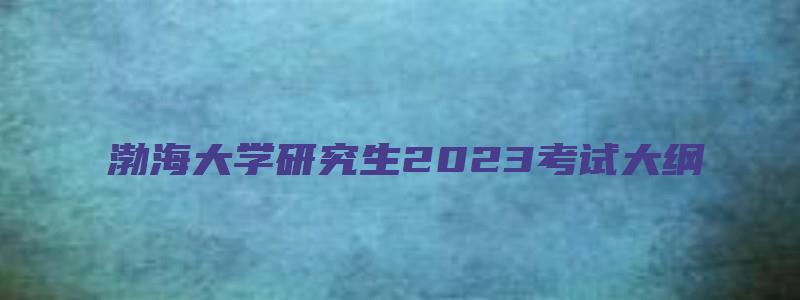 渤海大学研究生2023考试大纲