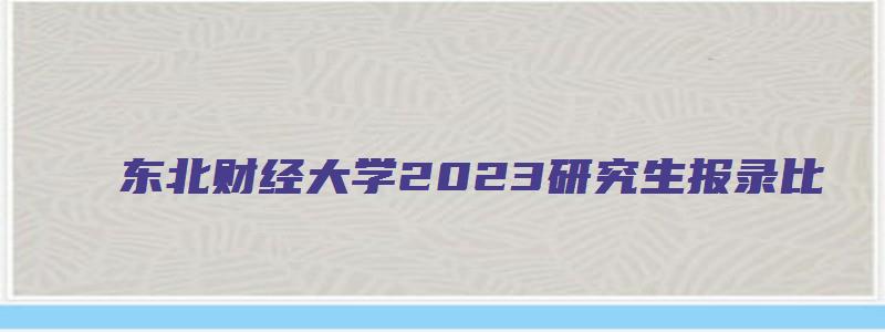 东北财经大学2023研究生报录比