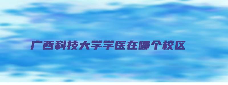 广西科技大学学医在哪个校区