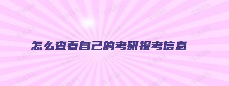 怎么查看自己的考研报考信息