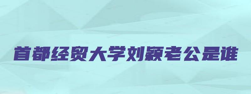 首都经贸大学刘颖老公是谁