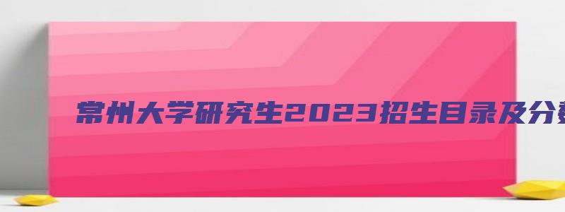 常州大学研究生2023招生目录及分数