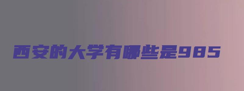 西安的大学有哪些是985,211的