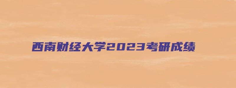 西南财经大学2023考研成绩