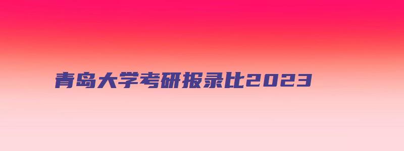 青岛大学考研报录比2023,录取比例是多少分