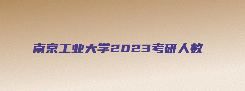 南京工业大学2023考研人数