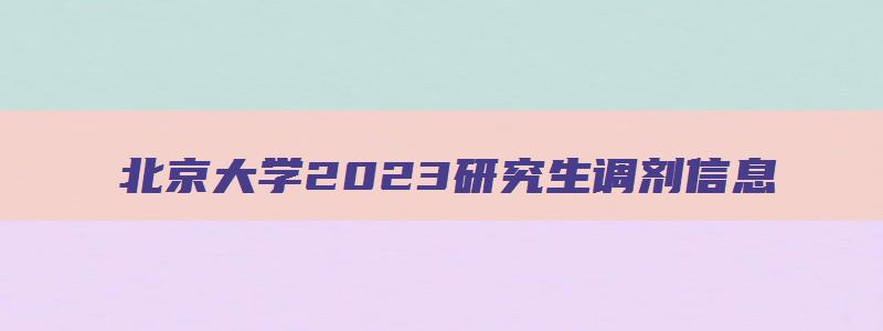 北京大学2023研究生调剂信息