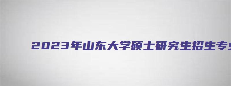 2023年山东大学硕士研究生招生专业目录