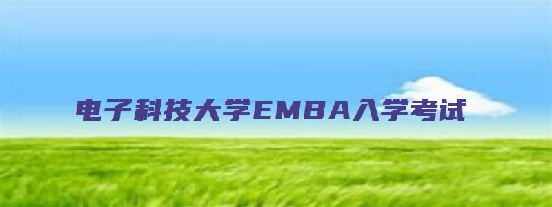 电子科技大学EMBA入学考试