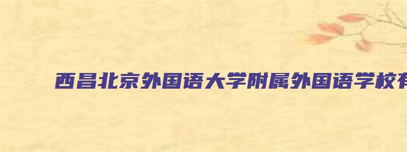 西昌北京外国语大学附属外国语学校有外教吗